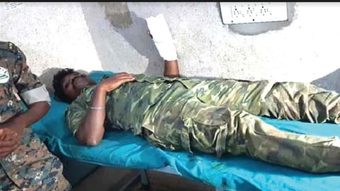 Anti-poaching watcher injured in sloth bear attack in The Nilgiris