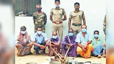 The Forest Department imposed a penalty of Rs 25,000 on Murugan and Rs 20,000 on others.