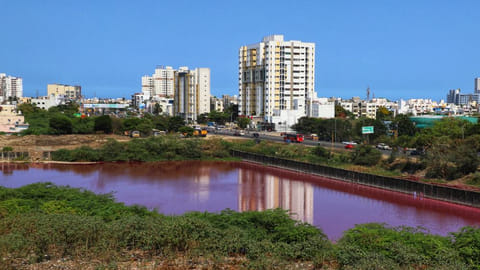 Picture of the Lake near Pallikaranai marshland