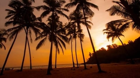 A new destination in South Goa's Varca beach