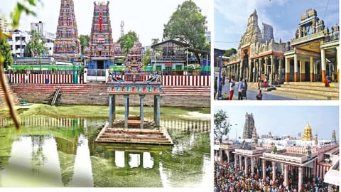 The vetrivel reigns supreme