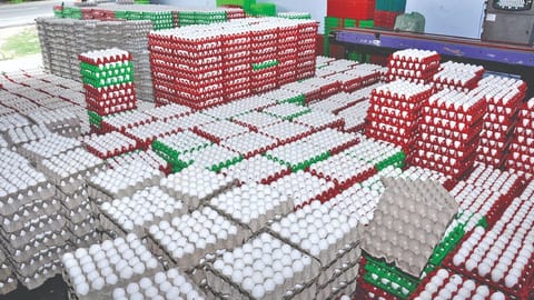Egg on the boil as retail price zooms to Rs 6 apiece