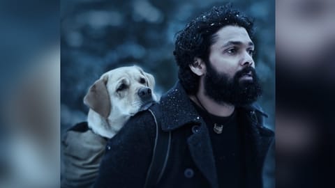 Still from '777 Charlie'