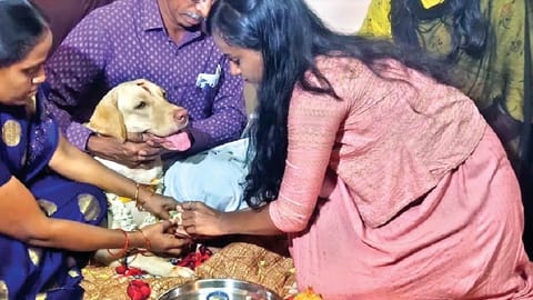 Febi being prepared for the baby shower function in Tiruchy on Wednesday.