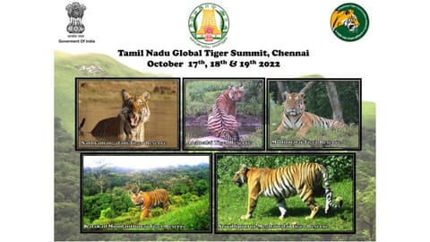 Tamil Nadu to host Global Tiger Summit in October