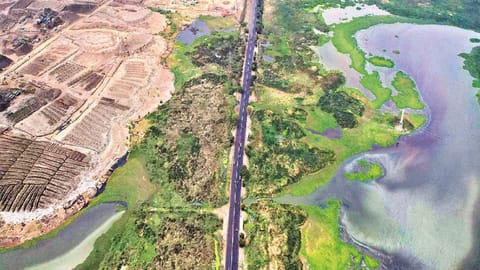 An aerial view of the Pallikaranai marshland