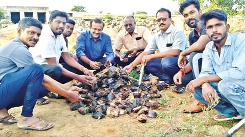 Activists from several organisations planting palmyrah seeds along banks of Uyyankondan river in Tiruchy on Tuesday.