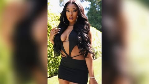 Rapper Megan Thee Stallion