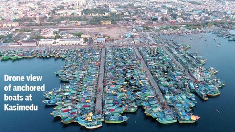 Met warnings leave fishers ‘at sea’ 79 out of 89 days