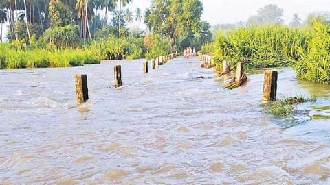 Kosasthalai river