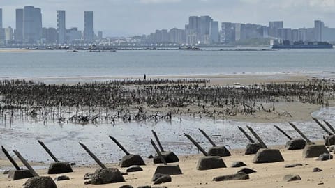 21 warplanes, 5 naval ships from China tracked around Taiwan