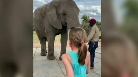 Screengrab from video