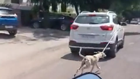 Screengrab from video