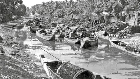 Buckingham Canal