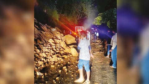 Vehicle movement on Gudalur-Ooty NH was disrupted due to mud slip and falling of boulders.