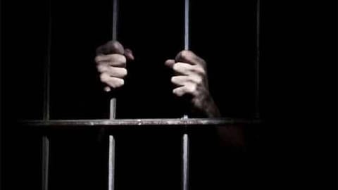 The duo was remanded in judicial custody.