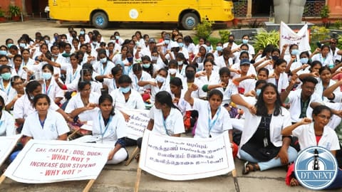 Veterinary students stage protest