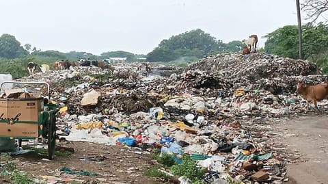 Garbage has piled up on the river banks.