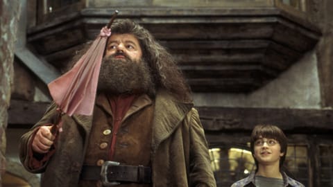 Robbie Coltrane