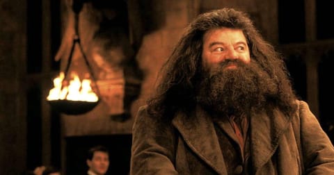 Robbie Coltrane