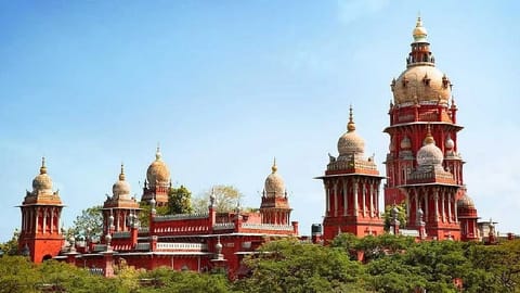 Suo Motu case: Collector informs immolated man not from ST community