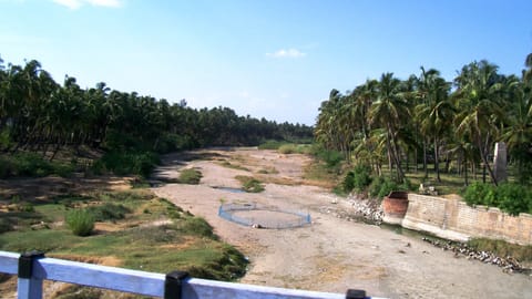 River Noyyal