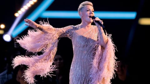Singer-performer Pink