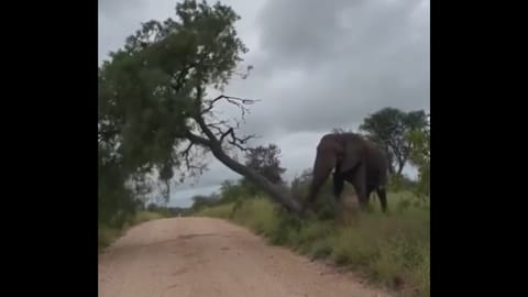 Screengrab from the video