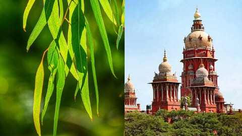 Madras High Court