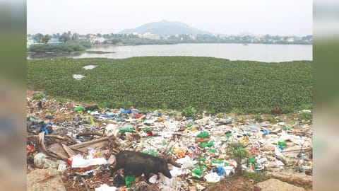 Pallavaram lake
