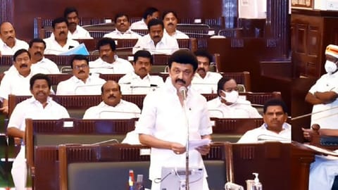 Stalin during an earlier assembly session