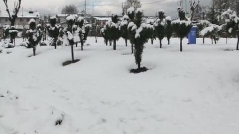 Vehicles stranded, trains suspended as record snowfall hits Japan