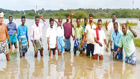 Farmers at a field from which water failed to recede in Thanjavur