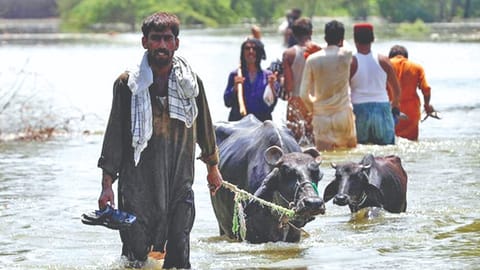Response to calamity Pak needs help coping with climate disasters