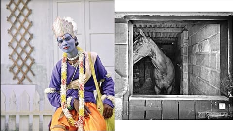 Satyajit's clicks