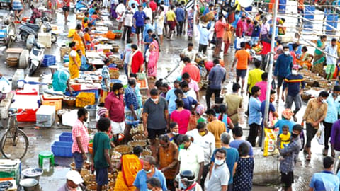 Kasimedu market