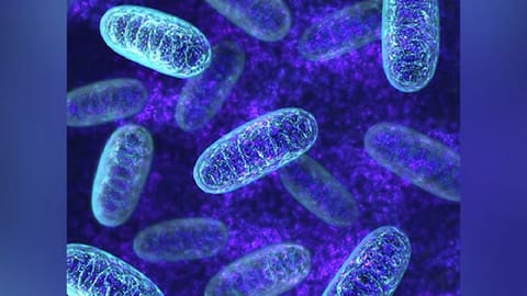 Hospitalised patients' infections may develop from their own bacteria