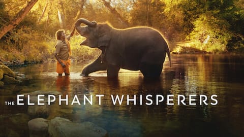 The Elephant Whisperers poster