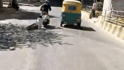 Screengrab from the video.