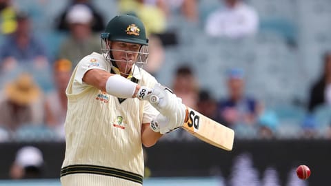 David Warner