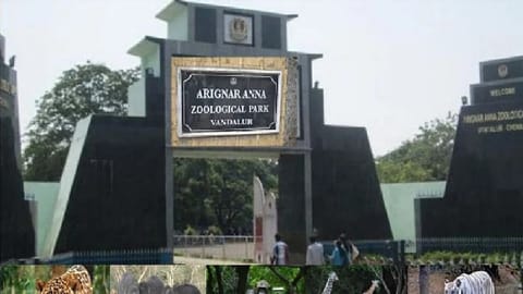 Vandalur Zoo