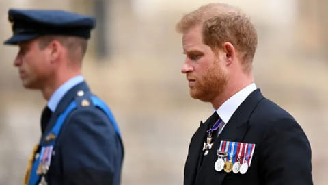 Harry and William