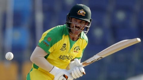 David Warner