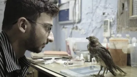 Still from the film