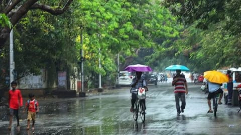 The sky will remain partly cloudy for the next 24 hours. Light to moderate rain with thundershowers may occur at a few places in the city