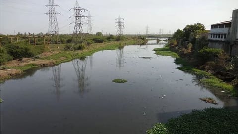 Buckingham Canal