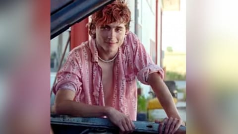Timothee Chalamet