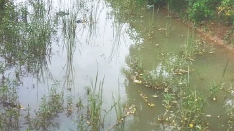 Representative image of waterbodies