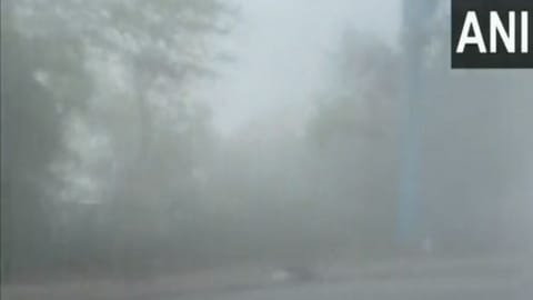 Visual from Delhi