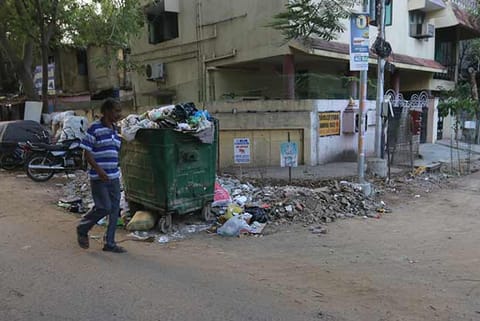 Residents say rampant dumping and overflowing garbage bins are the causes for the winged menace